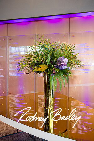0024__8-2-25_Damien-Dwin-Celebration-National-Museum-of-African-American-Museum-Washington-DC-event-Rodney-Bailey-Photography