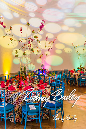 4-25-14 CORCORAN BALL DECOR_Rodney Bailey Photography_EventPhotojournalism_0446