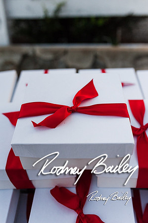 0067_9-12-14 Rockland Esates_Maryland Wedding Veue_Rodney Bailey Photography