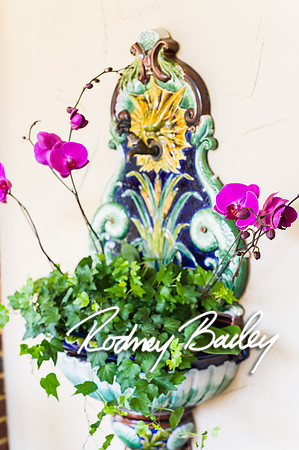 0206__10-28-14 _Bergerons Flowers_Rodney Bailey Photography