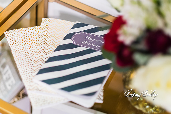 0337__3-1-15_Capital Bridal Affair and Fashion Show_The Mayflower Renaissance_Washington DC_Wedding Photography by Rodney Bailey