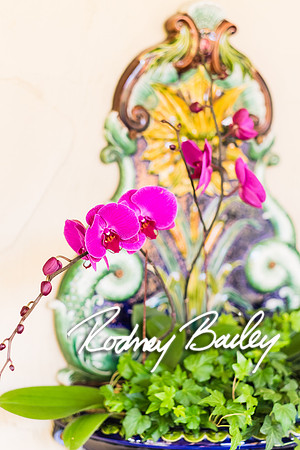 0234__10-28-14 _Bergerons Flowers_Rodney Bailey Photography