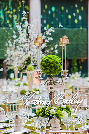 4-25-14 CORCORAN BALL DECOR_Rodney Bailey Photography_EventPhotojournalism_0508