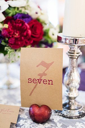 0380__3-1-15_Capital Bridal Affair and Fashion Show_The Mayflower Renaissance_Washington DC_Wedding Photography by Rodney Bailey