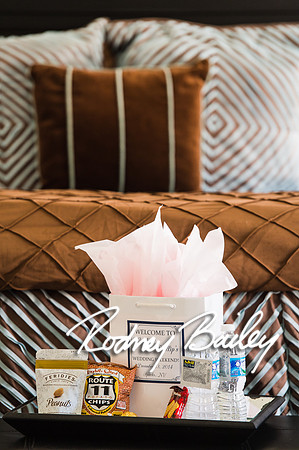 0279__10-17-14_Welcome To My Wedding_Rodney Bailey Photography