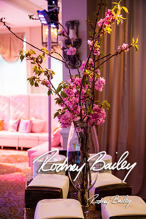 5-10-14_Mitzvah-Decor_Rodney Bailey_0153