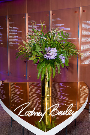 0023__8-2-25_Damien-Dwin-Celebration-National-Museum-of-African-American-Museum-Washington-DC-event-Rodney-Bailey-Photography
