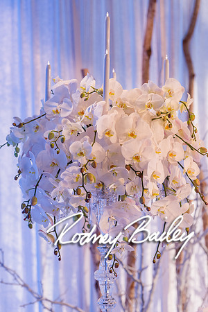 0022_How-to-select-choose-wedding-photographer-Washington-DC-Rodney-Bailey-Wedding-Photographer-DC