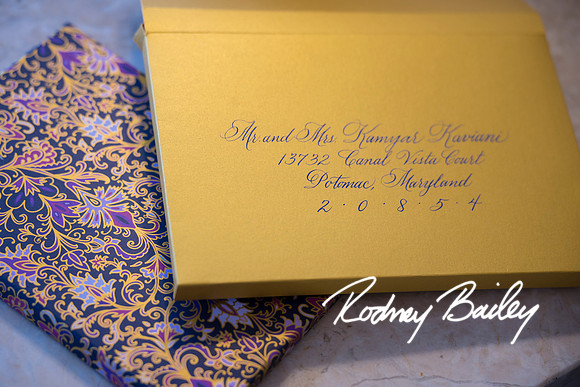 0027__6-1-24_Susan-Darvishi-Justin-Angelastro-Waldorf-Astoria-Washington-DC-Wedding-Rodney-Bailey-Photography