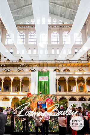 0009__6-7-18-Best-of-Washington-National-Building-Museum-Washington-DC-photographer-Event-Photo-Journalism-EventPhotojournalism