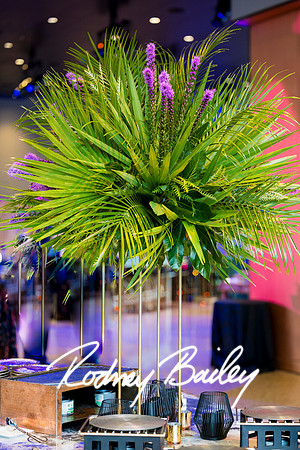 0083__8-2-25_Damien-Dwin-Celebration-National-Museum-of-African-American-Museum-Washington-DC-event-Rodney-Bailey-Photography