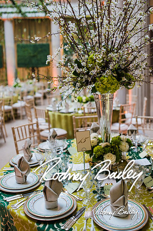 4-25-14 CORCORAN BALL DECOR_Rodney Bailey Photography_EventPhotojournalism_0497