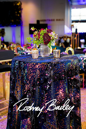 0042__8-2-25_Damien-Dwin-Celebration-National-Museum-of-African-American-Museum-Washington-DC-event-Rodney-Bailey-Photography