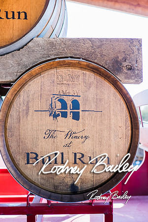 __00011The Winery at Bull Run Wedding Virginia_The Winery at Bull Run Wedding Photography VA_The Winery at Bull Run Wedding Photographer Virginia_