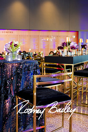 0046__8-2-25_Damien-Dwin-Celebration-National-Museum-of-African-American-Museum-Washington-DC-event-Rodney-Bailey-Photography