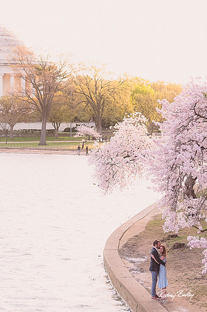 Engagement-Photographers-Proposal-Photography-Washington-DC-Rodney-Bailey-Photographer_0111