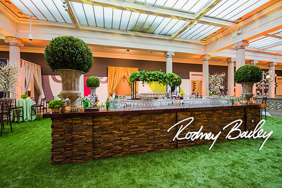 4-25-14 CORCORAN BALL DECOR_Rodney Bailey Photography_EventPhotojournalism_0670