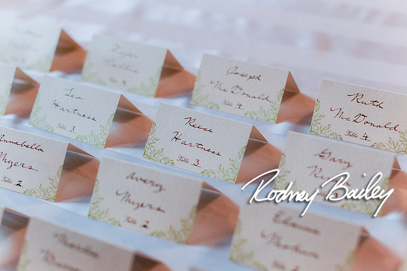 Oatlands Historic House and Gardens Weddings_wedding photography Oatlands Historic House and Gardens Virginia_Oatlands Historic House and Gardens Leesburg Virginia Wedding Photographer