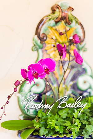 0233__10-28-14 _Bergerons Flowers_Rodney Bailey Photography