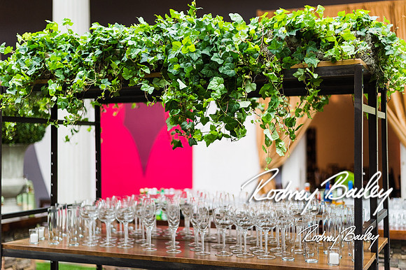 4-25-14 CORCORAN BALL DECOR_Rodney Bailey Photography_EventPhotojournalism_0142