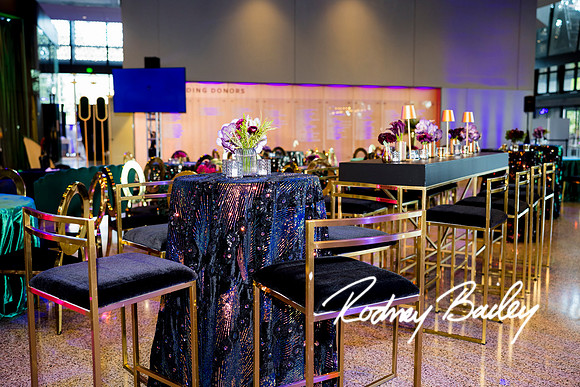 0045__8-2-25_Damien-Dwin-Celebration-National-Museum-of-African-American-Museum-Washington-DC-event-Rodney-Bailey-Photography