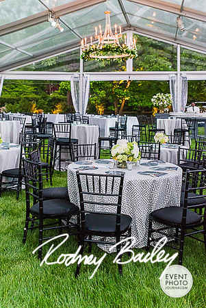 0006__0009__5-16-15 National Brain Tumor Society_Grey Soiree_Event Photojournalism_Virginia Event Photography