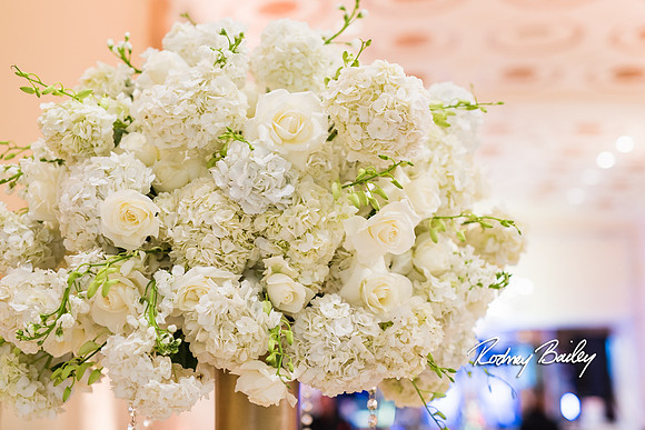 0161__3-1-15_Capital Bridal Affair and Fashion Show_The Mayflower Renaissance_Washington DC_Wedding Photography by Rodney Bailey