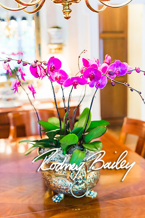 0258__10-28-14 _Bergerons Flowers_Rodney Bailey Photography