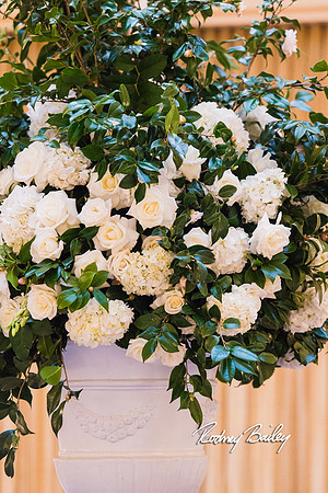 0028__3-1-15_Capital Bridal Affair and Fashion Show_The Mayflower Renaissance_Washington DC_Wedding Photography by Rodney Bailey