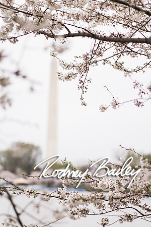 0006__4-9-15 Krishna Belino-John Cart_Engagement DC_Rodney Bailey Photography