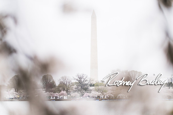 0011__4-9-15 Krishna Belino-John Cart_Engagement DC_Rodney Bailey Photography