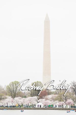 0014__4-9-15 Krishna Belino-John Cart_Engagement DC_Rodney Bailey Photography