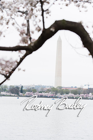 0171__4-9-15 Krishna Belino-John Cart_Engagement DC_Rodney Bailey Photography