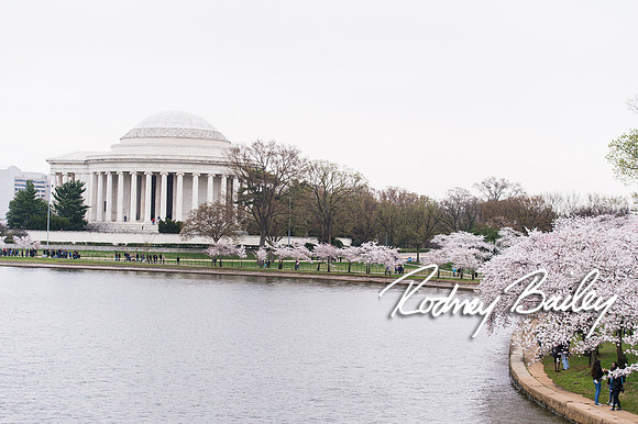 0173__4-9-15 Krishna Belino-John Cart_Engagement DC_Rodney Bailey Photography