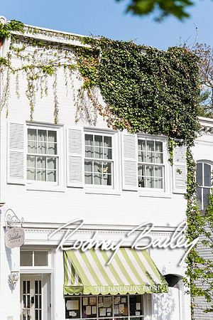 0004__4-21-15_The Dandelion Patch- United With Love_Georgetown_Rodney Bailey Photography