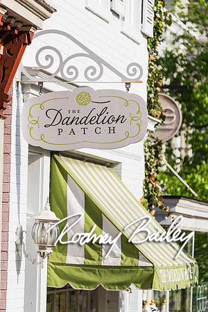 0005__4-21-15_The Dandelion Patch- United With Love_Georgetown_Rodney Bailey Photography
