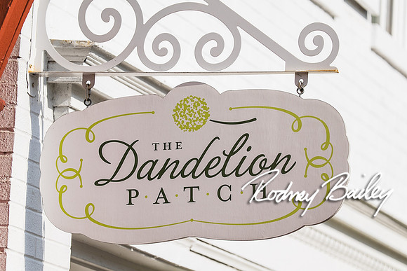0006__4-21-15_The Dandelion Patch- United With Love_Georgetown_Rodney Bailey Photography