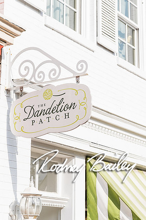 0007__4-21-15_The Dandelion Patch- United With Love_Georgetown_Rodney Bailey Photography