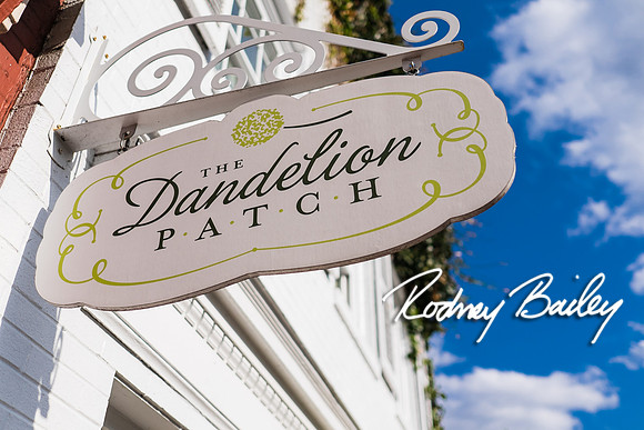 0028__4-21-15_The Dandelion Patch- United With Love_Georgetown_Rodney Bailey Photography