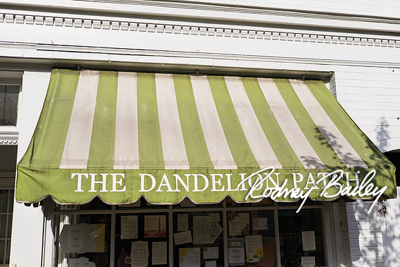 0029__4-21-15_The Dandelion Patch- United With Love_Georgetown_Rodney Bailey Photography