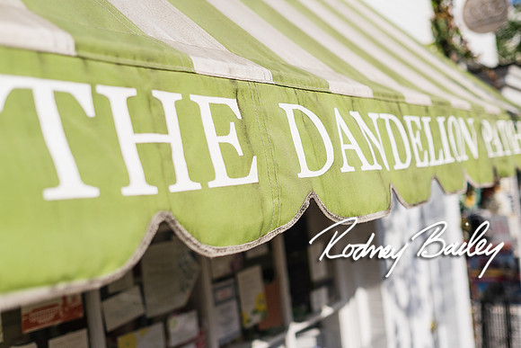 0031__4-21-15_The Dandelion Patch- United With Love_Georgetown_Rodney Bailey Photography