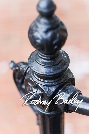 0038__4-21-15_The Dandelion Patch- United With Love_Georgetown_Rodney Bailey Photography
