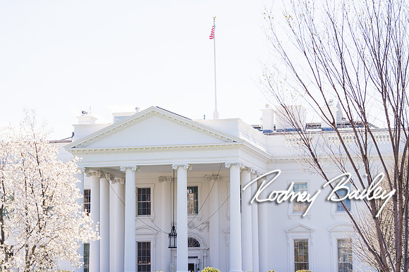 0008__Margaret Brennan_Ali Yakub_Wedding_Decatur House_Washington DC Wedding Photography by Rodney Bailey