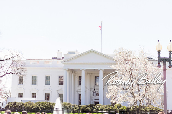 0010__Margaret Brennan_Ali Yakub_Wedding_Decatur House_Washington DC Wedding Photography by Rodney Bailey