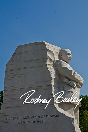 82611 - MLK 0981