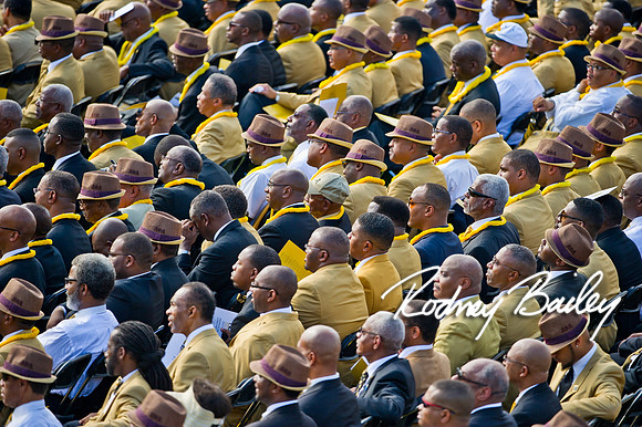 82611 - MLK 0596