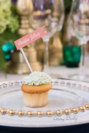 0013__3-1-15_Capital Bridal Affair and Fashion Show_The Mayflower Renaissance_Washington DC_Wedding Photography by Rodney Bailey