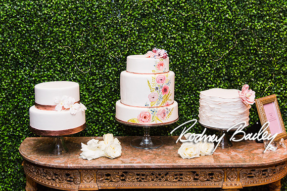 0490__1-25-15 UNVEILED WASHINGTONIAN BRIDE and GROOM_Photography by Rodney Bailey_Bride and Groom Magazine_Wedding Photography by Rodney Bailey