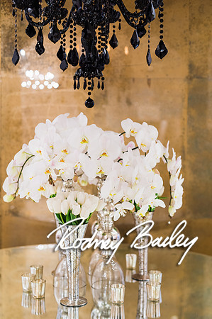 0502__1-25-15 UNVEILED WASHINGTONIAN BRIDE and GROOM_Photography by Rodney Bailey_Bride and Groom Magazine_Wedding Photography by Rodney Bailey