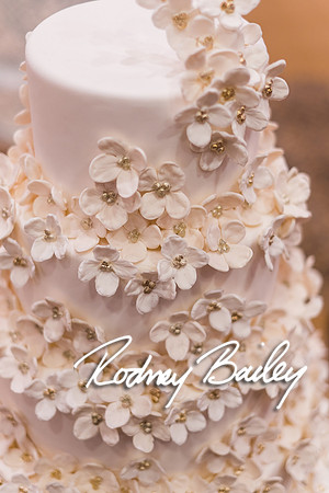 0491__1-25-15 UNVEILED WASHINGTONIAN BRIDE and GROOM_Photography by Rodney Bailey_Bride and Groom Magazine_Wedding Photography by Rodney Bailey